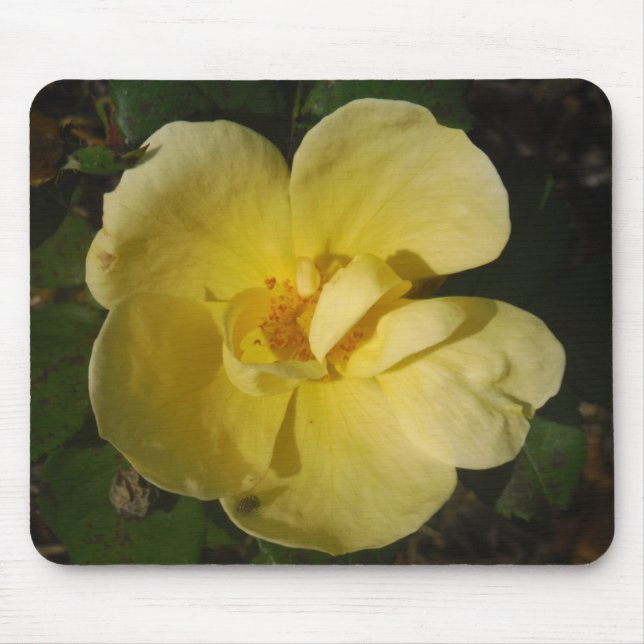 Wild Yellow Rose Mousepad (Vorne)
