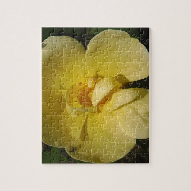 Wild Yellow Rose Puzzle (Vertikal)