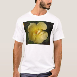 Wild Yellow Rose T-Shirt
