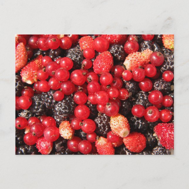 Wildbeeren-Postkarte Postkarte (Vorderseite)