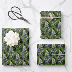 Wildblauer Lupine Blume Naturmuster  Geschenkpapier Set