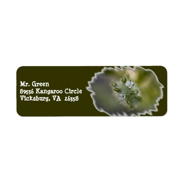 Wildblume 9 Rücksendeadresse (Vorne)