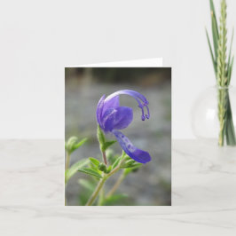 Wildblume-Anmerkungs-Karte Karte