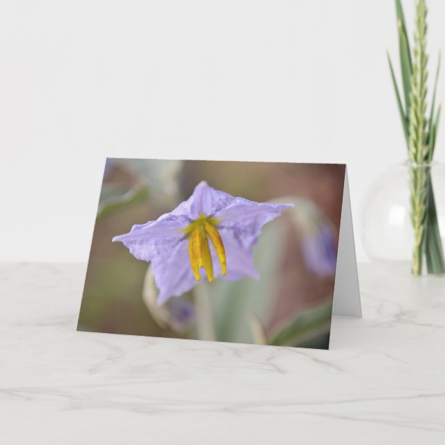 Wildblume Art Note Card Karte (Vorderseite)