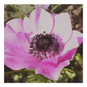 Wildblume Artistic Pastel Pink Anemone Poster