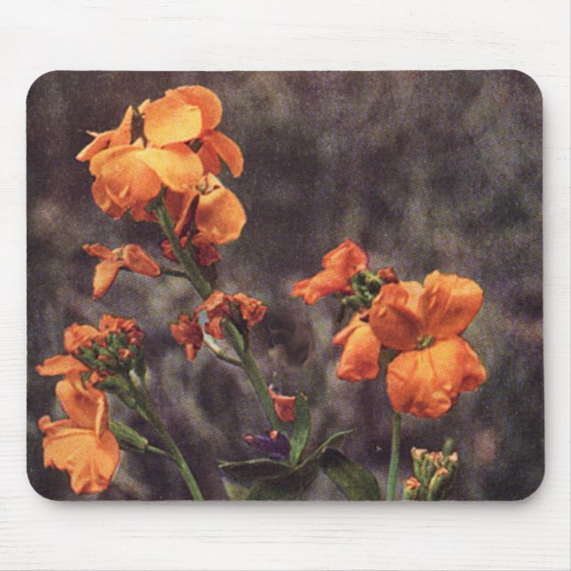 Wildblume: Blume Mousepad (Vorne)