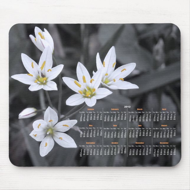 Wildblume Cluster Fotografie 2012 Kalender Mousepad (Vorne)