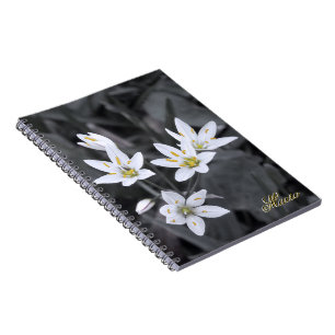 Wildblume Cluster-Makro-Foto-BW/Farbheften Notizblock