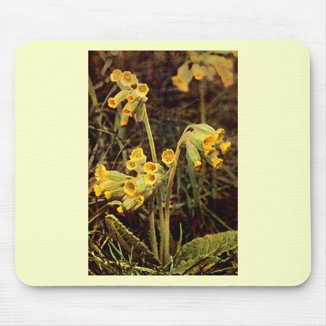 Wildblume: Cowslip Mousepad (Vorne)