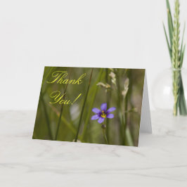 Wildblume danken Ihnen Karte 6