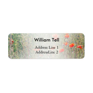 Wildblume-Feld und rotes Mohnblumen-Blühen