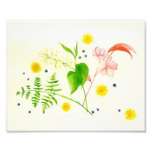 Wildblume Fotodruck