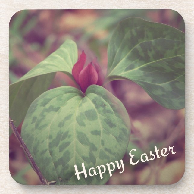 Wildblume Frohe Ostern Untersetzer (Vorderseite)