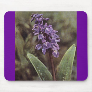 Wildblume: Frühe Lila Orchideen Mousepad