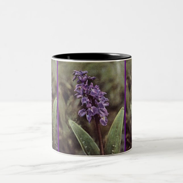 Wildblume: Frühe Lila Orchideen Zweifarbige Tasse (Mittel)