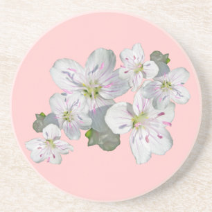 Wildblume für die Frühlingsbeauty Sandstein Untersetzer