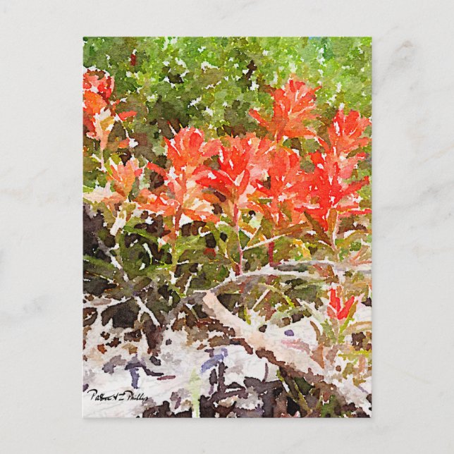 Wildblume für indische Farbpinsel Postkarte (Vorderseite)