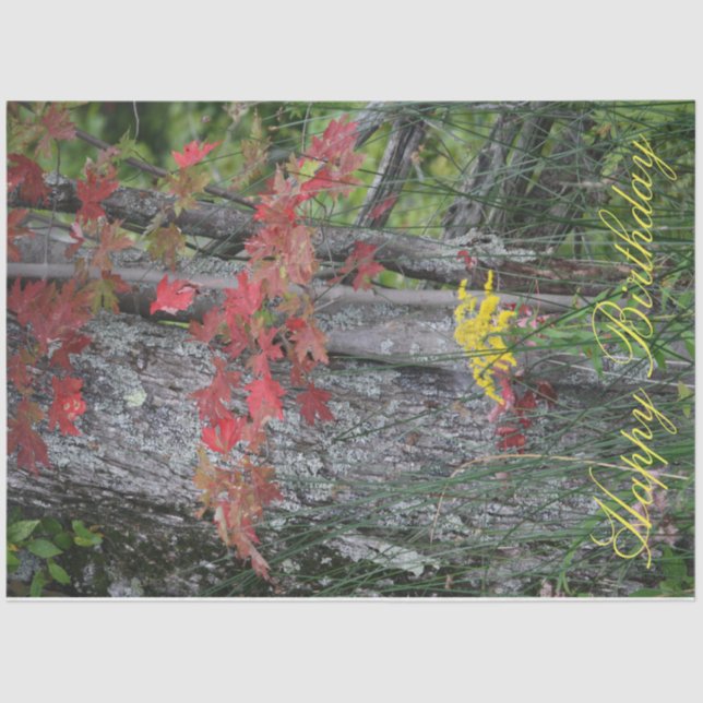 Wildblume Happy Birthday Seidenpapier (Vorderseite)