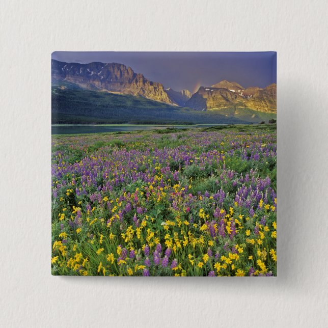 Wildblume im Gletscher Viele Button (Vorderseite)