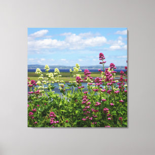 Wildblume in Irland Leinwanddruck