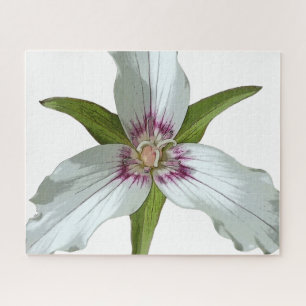 Wildblume Jigsaw Puzzle von Trillium Spring