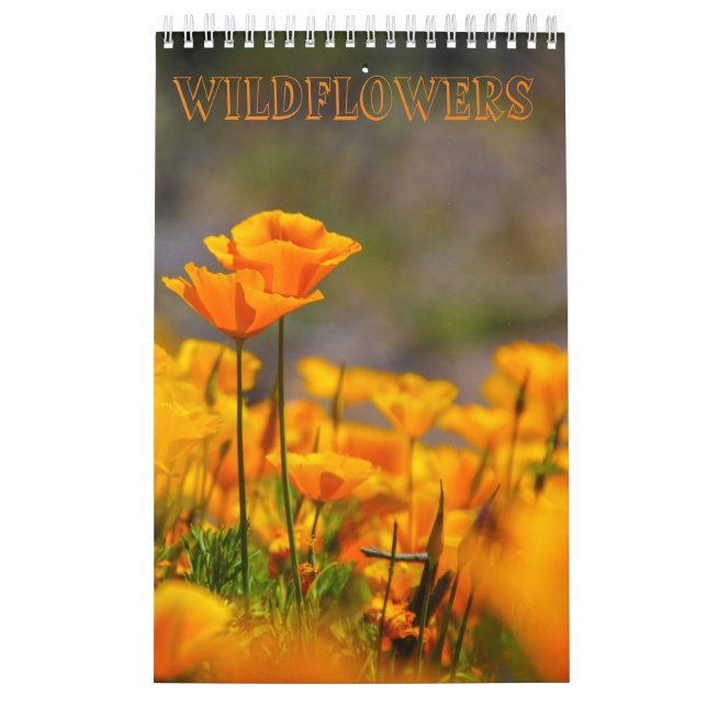 Wildblume Kalender (Titelbild)