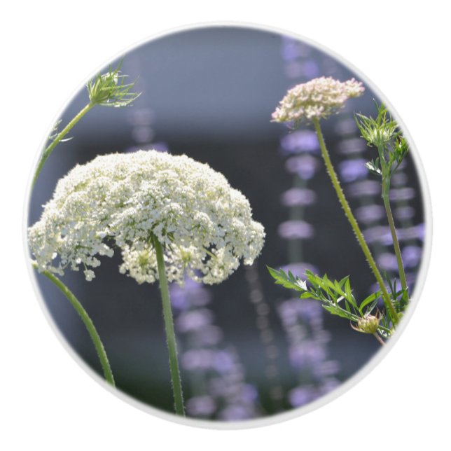 Wildblume-Keramik Keramikknauf (Vorderseite)