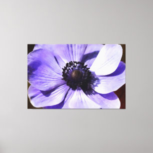 Wildblume Lilac Blue Anemone Leinwanddruck