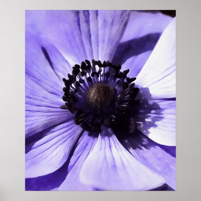 Wildblume Lilac Blue Anemone Poster (Vorne)