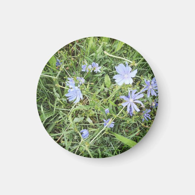 Wildblume Magnet (Vorne)