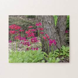 Wildblume Pink Primrose Fotografie Puzzle