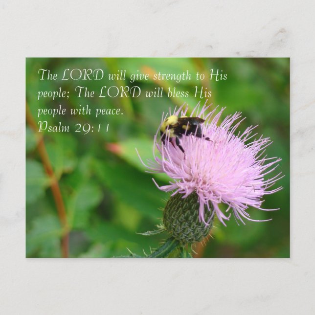 Wildblume Postkarte (Vorderseite)