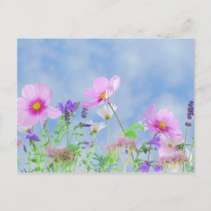 Wildblume Postkarte