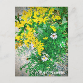 Wildblume Postkarte