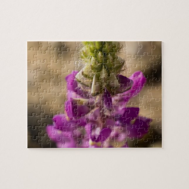 Wildblume Puzzle 4 (Horizontal)