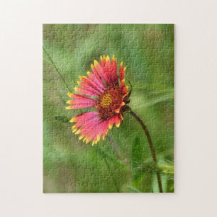 Wildblume Puzzle Indian Blanket Blume