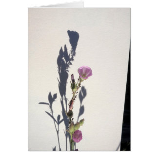 Wildblume-Schatten 2014