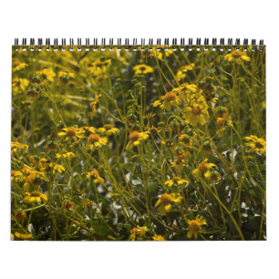 Wildblume Scripting-Kalender Kalender
