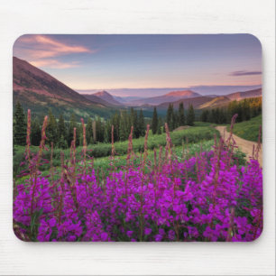 Wildblume-Sonnenaufgang  Butte mit Haube, Colorado Mousepad