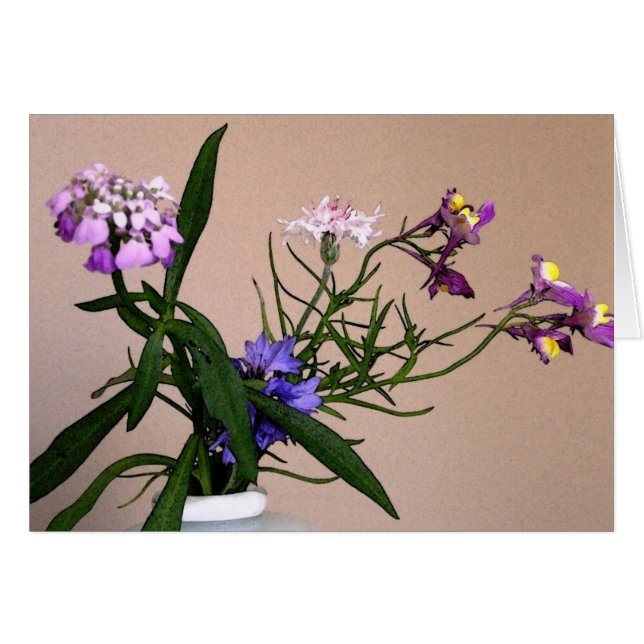 Wildblume Stillleben (Vorderseite (Horizontal))
