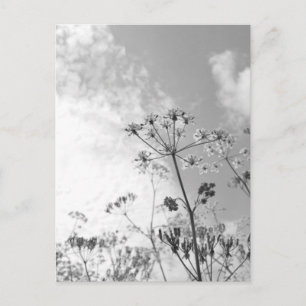 Wildblume Summer Postkarte