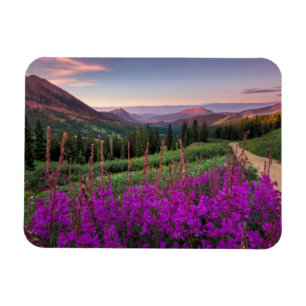 Wildblume Sunrise   Crested Butte, Colorado Magnet