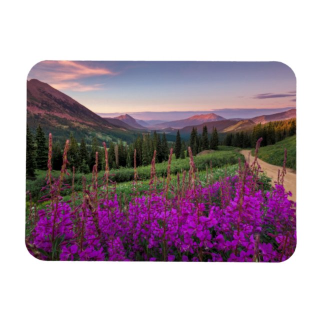 Wildblume Sunrise | Crested Butte, Colorado Magnet (Horizontal)