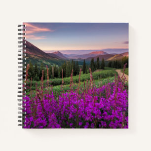 Wildblume Sunrise Crested Butte, Colorado Notizbuch