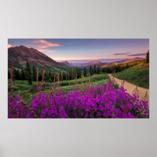 Wildblume Sunrise   Crested Butte, Colorado Poster