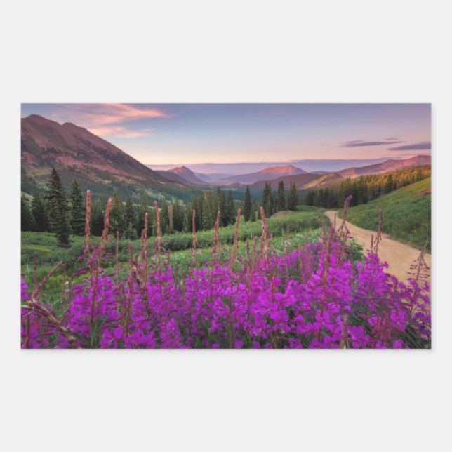 Wildblume Sunrise | Crested Butte, Colorado Rechteckiger Aufkleber (Vorderseite)