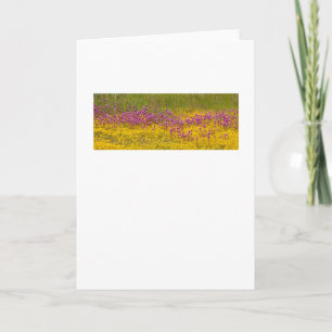 Wildblume Superbloom Grußkarte Karte