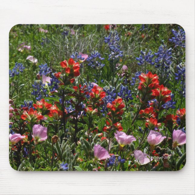 Wildblume-Träume Mousepad (Vorne)