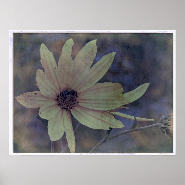 Wildblume und Biene Poster (Vorne)