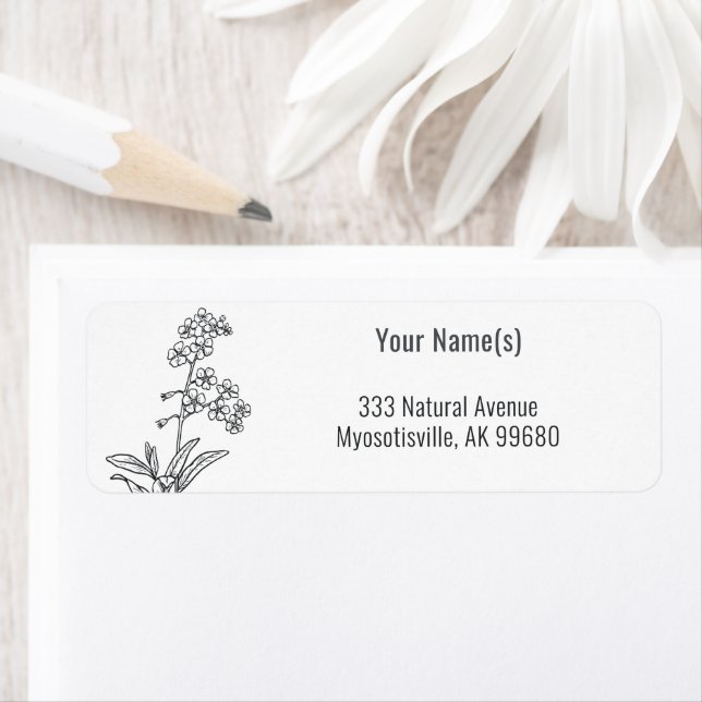 Wildblume Vergessen Sie nicht Schwarz und Weiß (Insitu)